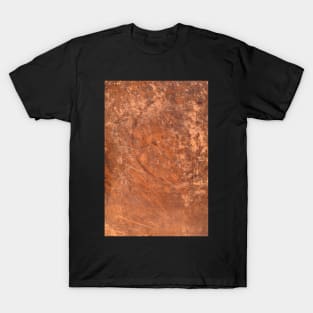 Grungy Vintage Book Cover T-Shirt